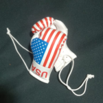 Mini Boxing Gloves Keychain