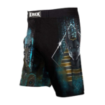 Custom MMA Shorts